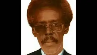 tubeec iyo xudeydi qaraamiga (LAAC)