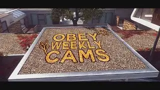 Obey Cams 4