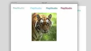 Filtri creati in tempo reale con Actionscript 3.0 - flepstudio.org