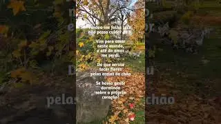 L'ultimo romantico - Nicola Di Bari