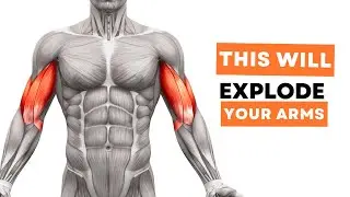 You'll Never Believe This Exercises Forced +3 Inches To My Arms Fact