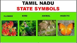 Symbols of Tamil Nadu || Tamil Nadu State Symbols Of Tamil Nadu ||மாநில சின்னங்கள்