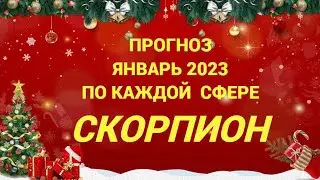ПРОГНОЗ ЯНВАРЬ 2023 СКОРПИОН - ДЕНЬГИ, ЛЮБОВЬ, ЗДОРОВЬЕ