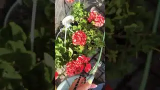 18 июня 2024 г.