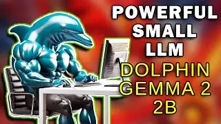 This Small LLM Packs a Punch and Runs on Basic Computer Hardware - Dolphin 2.9.4 Gemma 2 2B