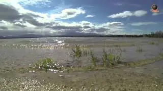 Vidéo technique GoPro Black Edition