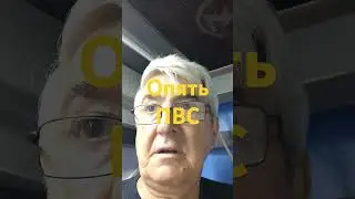 9 августа 2024 г.