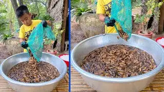 Yummy crispy cricket cooking - Chef Seyhak