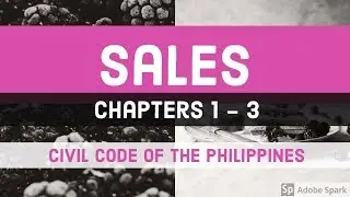 SALES; Chapters 1 to 3 [AUDIO CODAL]
