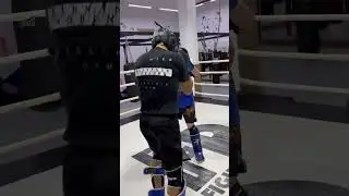 11 сентября 2023 г.