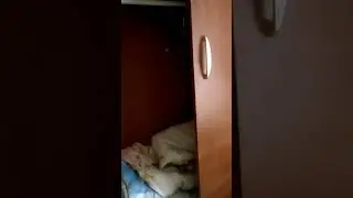 Номер эконом класса на 1 человека за 1500 рублей. Ейск. 