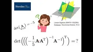 Linear Algebra -- Matrix Algebra -- Problem Solving using Properties of Determinant