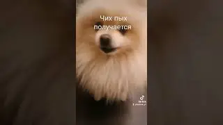 чих пых мне передали ашкьюдишкк 