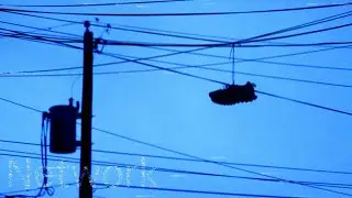 Network (Short Film)