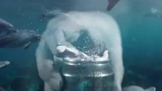 LYFE - FRESH AESTHETICS (GOLFINHOS (DOLPHINS) TEASER)