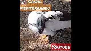 10 de mayo de 2023
