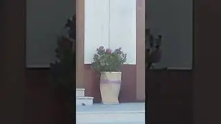 VID 20240908 170202