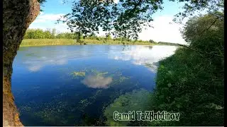 Подводная охота в реке Воронеж.Лещ,Щука,Жерех,Язь
