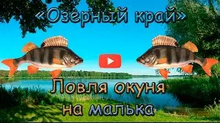 Ловля окуня на малька. Моя новая снасть. Catching the perch fingerlings.