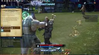TERA: The Exiled Realm of Arborea (PC) gameplay