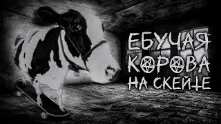 А КАКАЯ ТЫ ФЕЕЧКА ВИНКС? Pikuco - Тесты