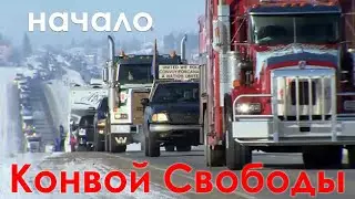 Канадский конвой (колонна) Свободы – Герои нашего времени