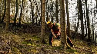LOG CABIN Build - S2E3: From a Tree To a LOG For My CABIN - with Nik Rijavec