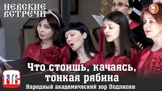 Что стоишь, качаясь, тонкая рябина - хор Подлипки - a cappella
