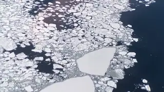 IceBridge Zigzags out of Svalbard | NASA Goddard