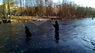 Лов корюшки на 