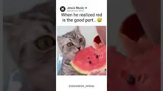 Kitty Finally Found the Good Part 🍉😂 | 