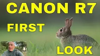 CANON R7 INITIAL IMPRESSIONS: WILDLIFE
