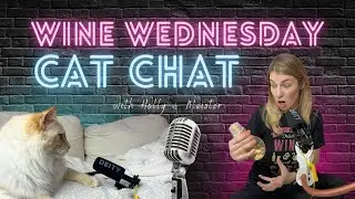Travel Cat Mom is live! WINE WEDNESDAY Cat Chat!