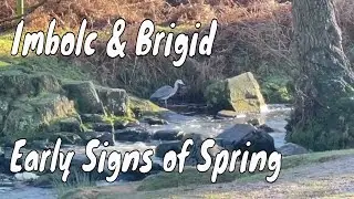 English Country Walk & Slow Living - enjoying the early signs of Spring to music!