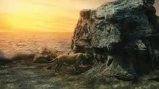 Jaguar Jump