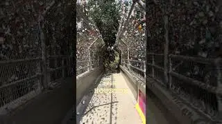 Passing through the Portal