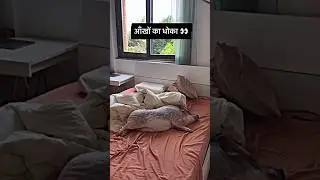 ये तो धोखा है रे बाबा 😱😱 #comedy #funny #sister #brother #viralvideo #realfools