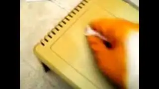 Apple II Cleaning