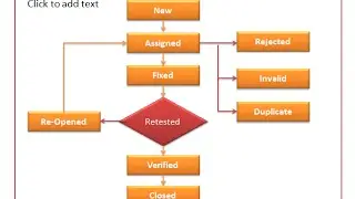 06:  Bug life cycle in Software Testing, how to raise a bug