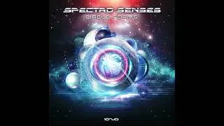 Spectro Senses - Circle Forms