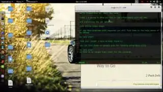 Sql Injection+sqlmap+proxychains