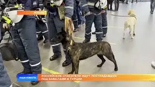 Российские спасатели ищут пострадавших под завалами в Турции