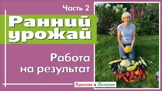 Ранний урожай. Работаем на результат Ч2