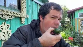 Полы в беседке своими руками