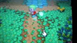 Money Tips in Animal Crossing City Folk