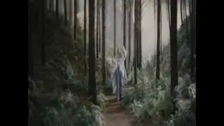 Арагорн и Арвен
