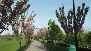 МУКАЧЕВО