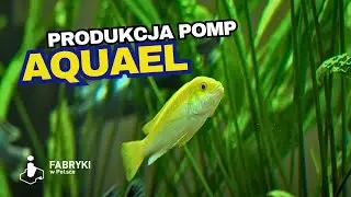 Jak powstają POMPY do AKWARIÓW i OCZEK WODNYCH?