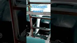 searching sharks