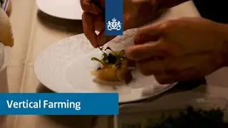 NLOnderneemt #32 | Vertical farming bij Growy